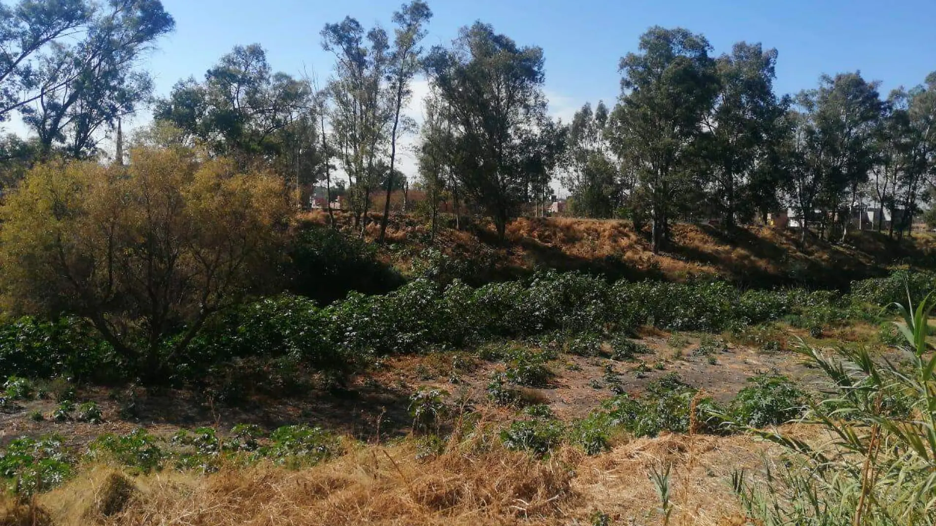 Resulta necesario sanear los cuerpos de agua 1